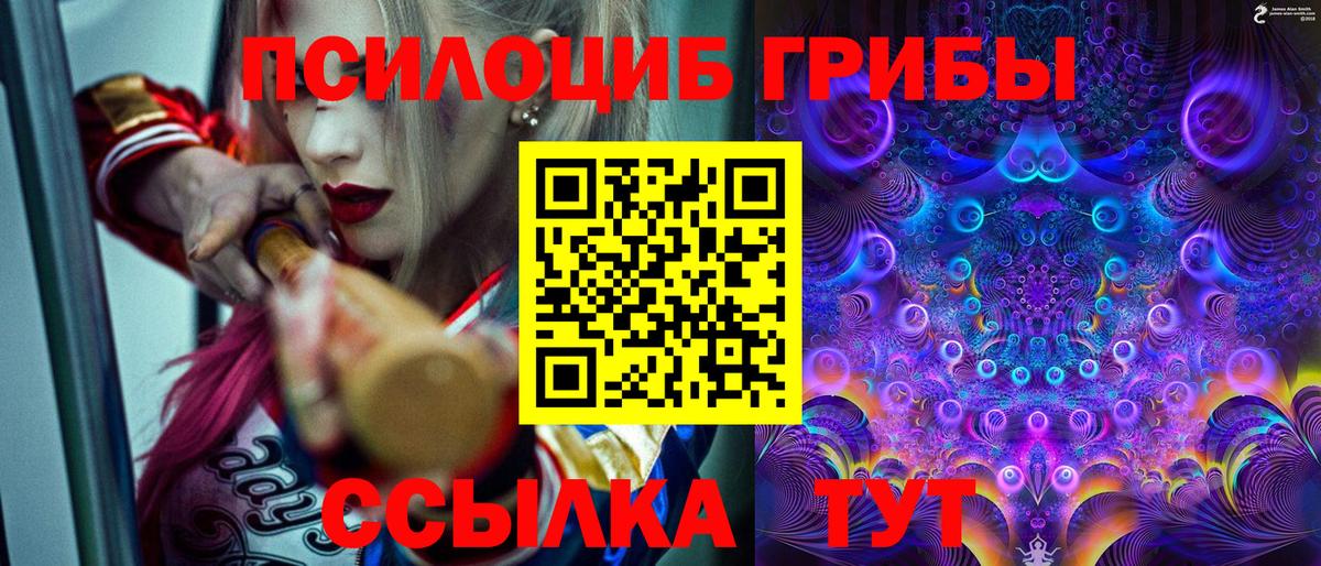 Галлюциногенные грибы MAGIC MUSHROOMS  Псилоцибиновые грибы GOLDEN TEACHER  Вход с VPN  Мариинск 
